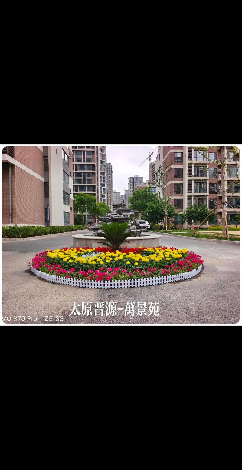 太原市日用百货市场观察：繁荣与挑战